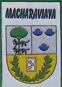  Macharaviaya escudo